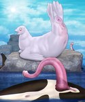 albino animal_genitalia animal_penis anus ass_up blush bodily_fluids cetacean_genitalia cetacean_penis claws detailed_background faceless_character faceless_feral faceless_male female feral genital_fluids genitals male navel open_mouth outside overweight penis pink_anus pink_eyes pink_penis pink_pussy precum precum_on_ground precum_on_penis pussy raised_tail sea tail tapering_penis water zevex cetacean dolphin mammal marine oceanic_dolphin orca pinniped seal toothed_whale 5:6