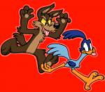 ambiguous_gender anthro beak blue_body blue_feathers brown_body brown_fur chasing duo feathers fur red_background simple_background teeth tongue yellow_sclera xiamtheferret looney_tunes warner_brothers road_runner_(looney_tunes) wile_e._coyote avian bird canid canine canis coyote cuculiform greater_roadrunner mammal new_world_ground_cuckoo roadrunner