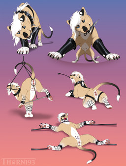 4_toes anus armwear bdsm blue_eyes bodily_fluids bondage bound claws clothing collar cum dagger dagger_in_mouth dominant dominant_female feet female feral fur gag gagged genital_fluids genitals hair handwear holding_object holding_weapon in_mouth latex latex_armwear latex_clothing looking_at_viewer looking_back melee_weapon muzzle_(object) nipple_chain nipple_clamp nipples paws rape_face restraints riding_crop simple_background solo spreader_bar spreading stripes tail tan_body tan_fur teats toes vulva weapon whip thorn193 chloe_(thorn193) felid feline lion mammal pantherine digital_drawing_(artwork) digital_media_(artwork) hi_res