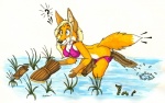 anthro bdever bikini canine clothed clothing eel eel_fishing female fox grass mammal penetration river skimpy swimsuit vaginal vaginal_penetration
Rating: Questionable
Score: 1
User: UniversalLionsgate89
Date: November 26, 2012