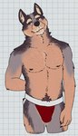 anthro belly biped black_nipples black_nose body_hair bulge checkered checkered_background clothed clothing eyebrows fur graph_paper grey_body grey_eyes grey_fur hand_behind_back happy_trail head_tilt inner_ear_fluff jockstrap looking_aside male male_anthro multicolored_body navel nipples partially_clothed partially_clothed_male pattern_background pink_inner_ear purple_body purple_fur red_clothing red_underwear simple_background slightly_chubby solo standing tan_body tan_eyebrows tan_fur tan_inner_ear_fluff tuft underwear underwear_only whiskers white_background white_sclera unsafescapewolf shelter_(visual_novel) thistle_(shelter) canid canine canis domestic_dog mammal 2024 digital_drawing_(artwork) digital_media_(artwork) hi_res portrait signature three-quarter_portrait