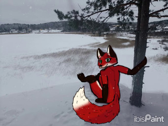 anthro big_tail cliff ears_up finland first_person_view fur green_eyes lake male melancholic nature nude real red_body red_fur romantic scandinavian sitting smile snow tail winter jukolapp karelia neva canid canine fox mammal red_fox true_fox 4:3 animated long_playtime no_sound video