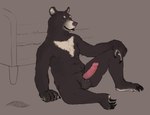 anthro balls black_body black_fur erection foreskin fur genitals humanoid_genitalia humanoid_penis male nude penis simple_background smile solo virensere apawcalyptic ender ender_cooper american_black_bear bear black_bear mammal moon_bear ursine 2018 absurd_res digital_media_(artwork) hi_res