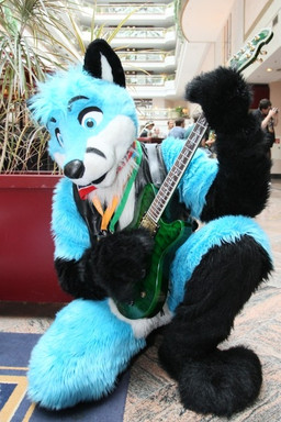 anthro blue_eyes clothing costume electric_guitar fursuit guitar male musical_instrument playing_guitar playing_music plucked_string_instrument real solo string_instrument unknown_artist finnfox schecter canid canine fox mammal 2:3 grandfathered_content photography_(artwork) unavailable_at_source