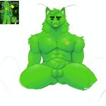 antennae_(anatomy) anthro anus black_eyes eyebrows flaccid fur genitals green_body male muscular muscular_male penis spread_legs spreading star text thick_eyebrows youshizin regretevator gnarpy felid feline gnarpian mammal 1:1 absurd_res artist_name hi_res picture_in_picture reference_image