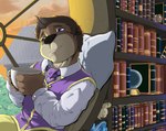 anthro beverage blue_book blue_crystal blue_eyes book bookshelf brown_body brown_book brown_fur brown_hair clothing college container crystal_ball cup fur furniture glowing_crystal green_book hair holding_container holding_cup holding_object library looking_out_window magic_user male necktie pillow plant purple_clothing purple_necktie purple_topwear purple_vest red_book rooftop school scroll smile solo topwear tree twilight vest window pandottermon mammal mustelid otter