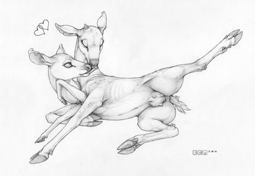 2_heads conjoined conjoined_twins eyes_closed female feral french_kissing front_view heart_symbol hooves kissing lying multi_head multi_head_kiss navel nude on_side one_leg_up raised_leg simple_background solo spread_legs spreading teats tongue tongue_out udders white_background ecmajor fallout microsoft dawn_and_dusk deer mammal radstag_(fallout) hi_res monochrome traditional_media_(artwork) incest_(lore) sibling_(lore) sister_(lore) sisters_(lore) twins_(lore)