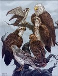 ambiguous_gender beak black_outline feathered_wings feathers feet feral group in_tree outline outside perching plant sky standing talons text toes tree white_outline wings kiriska animorphs aximili-esgarrouth-isthill cassie_(animorphs) jake_berenson marco_(animorphs) rachel_(animorphs) tobias_(animorphs) accipitrid accipitriform avian bald_eagle bird buteo chickenhawk eagle falcon falconid northern_harrier osprey peregrine_falcon red-tailed_hawk sea_eagle 2013 digital_media_(artwork) digital_painting_(artwork) painting_(artwork) url