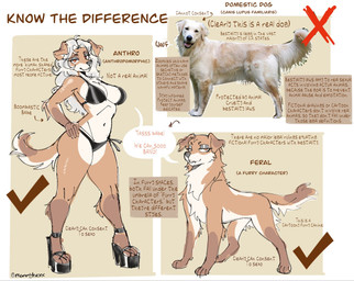 anthro bedroom_eyes breasts clothing dialogue female female_anthro female_feral feral footwear fur hair high_heels informative long_hair looking_at_viewer narrowed_eyes real seductive shoes simple_background standing tail talking_to_viewer text mommyhexx canid canine canis domestic_dog mammal 2026 english_text hi_res