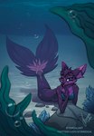 4_fingers anthro big_ears bra breasts clothing female fingers looking_at_viewer mermaid_tail pose rock seaweed solo split_form text tongue tongue_out underwater underwear water stirren mermay canid canine fennec_fox fox mammal marine merfolk true_fox pinup url