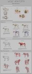 ambiguous_gender anatomy anatomy_reference bone box container copyright_symbol educational feral group happy how-to how_to_draw skeleton skull solo species_sheet symbol text tongue tongue_out aeonrin canid canine canis mammal wolf 2012 english_text hi_res model_sheet signature