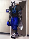 american_football american_football_uniform anthro armor biceps big_muscles biped black_nose bottomwear bulge cleats clothed clothing eyebrows football_jersey football_player footwear front_view fully_clothed fur fur_tuft gloves handwear headgear helmet holding_object jersey legwear looking_at_viewer male muscular muscular_anthro muscular_male number number_on_clothing number_on_jersey number_on_topwear number_print pants print_clothing print_jersey print_topwear shadow shirt shoes shorts simple_background socks solo sport thigh_highs thigh_socks topwear tuft uniform white_clothing white_footwear dream_and_nightmare nike rock_markenson canid canine canis mammal wolf 2016 3:4 digital_media_(artwork) digital_painting_(artwork) hi_res shaded soft_shading