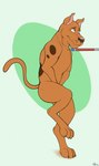 brown_body brown_fur butt claws covering covering_crotch covering_self embarrassed feral fur leash leash_pull male markings nude on_hind_legs raised_tail side_view solo spots spotted_body spotted_fur tail toe_claws jimfoxx hanna-barbera scooby-doo_(series) scooby-doo canid canine canis domestic_dog great_dane mammal mastiff molosser 2022 hi_res