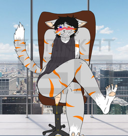 anthro black_hair blush bodily_fluids bottomless clothed clothing crossdressing curling_toes feet genital_fluids genitals hair leaking_urine looking_at_viewer male nervous nervous_smile nervous_sweat omorashi pawpads pee_desperation penis solo spread_toes sweat toes urine sparkat150 sparkat_(sparkat150) felid feline mammal hi_res