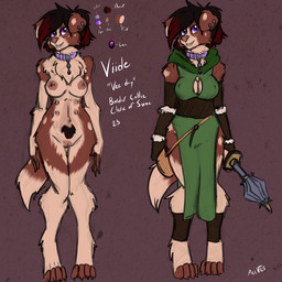 anthro belly_nipples breasts cleric clothed clothing collar collar_only female genitals nude purple_eyes solo vulva acev border_collie canid canine canis collie domestic_dog herding_dog mammal pastoral_dog sheepdog 1:1 absurd_res hi_res model_sheet