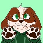 ambiguous_gender anthro brown_body brown_fur brown_nose brown_pawpads clothed clothing floppy_ears fur green_background green_clothing green_eyes green_hoodie green_topwear handpaw head_tuft hoodie lop_ears pawpads paws simple_background smile solo topwear tuft whisker_spots white_body white_fur sageydeer cloud_(cloudpie) bird_dog canid canine canis cavalier_king_charles_spaniel domestic_dog hunting_dog mammal spaniel toy_dog 1:1 2020 bust_portrait digital_drawing_(artwork) digital_media_(artwork) flat_colors icon portrait female_(lore)