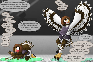after_transformation anthro avian_feet basketball_shorts black_border blush border breasts clothing dialogue feathers female loss_of_dexterity solo species_transformation speech_bubble tail tail_feathers torn_clothing transformation white_body white_feathers visorelle avian bird owl strix_(genus) tawny_owl true_owl comic hi_res