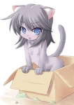 adoption_box anthro blue_eyes blush box box_of_cuteness breasts container fangs female grey_hair hair in_box in_container looking_at_viewer nipples nude open_mouth solo tail teeth young young_anthro young_female kourourin if_it_fits_i_sits_(meme) domestic_cat felid feline felis mammal meme