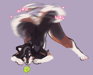 anthro ass_up ball bdsm blind disability female petplay puppyplay roleplay solo tail tail_motion tailwag tennis_ball kiska canid canine mammal