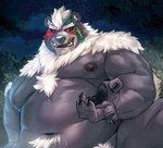 anthro belly detailed_background humanoid_hands kemono male musclegut muscular night nipples outside overweight overweight_anthro overweight_male solo oaks16 lifewonders tokyo_afterschool_summoners kimun_kamui_(tas) wen_kamui_(tas) bear mammal 2020