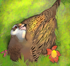 ambiguous_gender brown_body brown_feathers feathers feral flower grass multicolored_body multicolored_feathers plant red_eyes sitting_on_grass white_body white_feathers birdloverdude19 weka_(bird) 2024