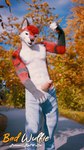 anthro autumn black_body black_fur clothed clothing erection flexing fur genitals humanoid_genitalia humanoid_penis looking_at_viewer male nipples outside penis plant realistic red_body red_fur sidewalk topless tree whiskers white_body white_fur bad_wulfie red_wulfie cycles red_(red_wulfie) canid canine canis mammal wolf 3d_(artwork) 9:16 blender_(artwork) digital_media_(artwork) hi_res