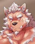 anthro black_nose fangs fur male red_eyes scar solo tan_body tan_fur teeth white_body white_fur znone55 lifewonders tokyo_afterschool_summoners marchosias_(tas) canid canine canis demon mammal wolf absurd_res hi_res