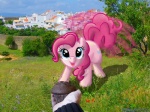 4:3 blue_eyes cloud cutie_mark deathpwny duo earth_pony equid equine female feral flower food friendship_is_magic fur grass hair hasbro hi_res horse looking_at_viewer mammal mixed_media muffin my_little_pony outside pink_body pink_fur pink_hair pinkie_pie_(mlp) plant ponies_in_real_life pony quadruped real sky solo_focus tail tree wood