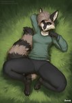 4_toes anthro bottomwear breasts brown_body brown_eyes brown_fur brown_hair brown_tail clothed clothing countershade_torso countershading feet female fingers fully_clothed fully_clothed_anthro fully_clothed_female fur grass hair inner_ear_fluff looking_at_viewer lying on_back on_ground outside plant solo spread_legs spreading tail toes topwear tuft foxovh cubic_(metriccaboose) mammal procyonid raccoon 2024 digital_media_(artwork) hi_res