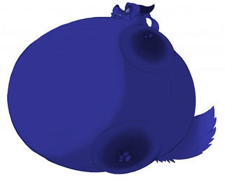anthro belly belly_expansion big_belly blue_body blue_fur blue_hair blueberry_inflation body_inflation clenched_teeth expansion fur hair huge_belly hyper hyper_belly hyper_inflation immobile inflation looking_down looking_down_at_self male nude ponytail scared simple_background solo spherical_inflation swollen_cheeks teeth white_background wide_eyed midsummernightsdream thoron canid canine fox mammal 2014
