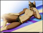 anime_eyes anthro beach biped brown_body brown_eyes brown_fur bulge clothed clothing detailed_background detailed_bulge fur genital_outline looking_at_viewer lying male navel on_side on_towel outside penis_outline sand seaside skimpy smile solo speedo swimwear topless towel shiuk canid canine canis mammal wolf 2011