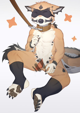 animal_genitalia animal_penis anthro athletic ball_gag bdsm bent_legs biped black_pawpads blindfold bodily_fluids cetacean_genitalia cetacean_penis clothed clothing collar cum cum_string fur gag gagged genital_fluids genital_slit genitals kemono leaking_cum leash leash_pull leashed_collar leg_wraps male multicolored_body orange_body pawpads penis shota simple_background sitting solo submissive submissive_anthro submissive_male tail tapering_penis topless two_tone_body underwear underwear_only white_body wraps young young_anthro young_male toye2004 mythology dragon furred_dragon furred_scalie mythological_creature mythological_scalie scalie blur_censorship censored hi_res