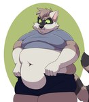 ambiguous_gender anthro belly bottomwear chubby_cheeks clothed clothing green_eyes grey_body markings obese open_bottomwear open_clothing open_pants overweight pants solo striped_markings striped_tail stripes struggling tail tail_markings tight_clothing white_body shikakaka patterson_(pattraccoon) mammal procyonid raccoon hi_res nonbinary_(lore)