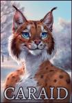 anthro blue_eyes day detailed_background fur male orange_body orange_fur outside sky solo whiskers white_body white_fur caraid caraid_(character) felid feline lynx mammal 2019 hi_res