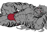 abs anthro biceps bulge clothing male muscular muscular_anthro muscular_male pecs scar solo striped_body stripes underwear eurobeat sdorica pang_(sdorica) felid mammal pantherine tiger