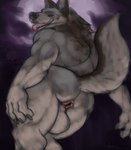 anthro anus backsack balls big_balls butt genitals looking_at_viewer looking_back male moon nude solo tahoma mythology canid canine canis mammal mythological_canine mythological_creature werecanid werecanine werecreature werewolf wolf hi_res sketch