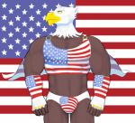 abs american_flag anthro beak biceps big_muscles briefs brown_body bulge cape clothing feathers flag flag_cape male muscular muscular_anthro muscular_male shirt solo tank_top topwear underwear united_states_of_america yellow_eyes hicanyoumooforme american_eagle accipitrid accipitriform avian bald_eagle bird eagle sea_eagle