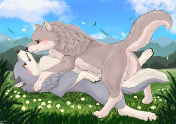 4_toes black_nose blush brown_eyes claws cloud countershading day detailed_background digitigrade duo eye_contact feet female feral feral_on_feral flower fluffy fluffy_tail fur grass grey_body grey_fur looking_at_another lying male male/female markings multicolored_body multicolored_fur on_back on_top open_mouth orange_eyes outside pawpads paws plant quadruped sky smile tail teeth toes tongue tuft two_tone_body two_tone_fur white_body white_fur yellow_eyes fusau canid canine canis mammal wolf 2022 absurd_res detailed digital_media_(artwork) hi_res