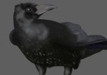 ambiguous_gender beak black_body black_feathers brown_eyes feathered_wings feathers feral grey_background grey_body grey_feathers iridescent iridescent_feathers simple_background solo wings obelisk398 avian bird carrion_crow corvid corvus_(genus) crow oscine passerine absurd_res hi_res lineless painting_(artwork)