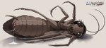 animal_genitalia antennae_(anatomy) arthropod_abdomen arthropod_abdomen_cloaca arthropod_abdomen_genitalia blush bodily_fluids cloaca cloaca_juice cloaca_juice_drip cloaca_juice_string eyelashes female feral genital_fluids genitals insectophilia lying mandibles multi_limb on_side solo roachelle arthropod blattodea cockroach insect absurd_res hi_res