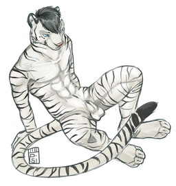 abs animal_genitalia anthro athletic athletic_anthro athletic_male balls black_body black_fur black_hair ear_piercing fully_sheathed fur genitals hair industrial_piercing male male_anthro nude nude_anthro nude_male pecs piercing sheath simple_background sitting solo spread_legs spreading striped_body striped_fur stripes white_background white_body white_fur i-psilone codytiger felid mammal pantherine tiger 2015