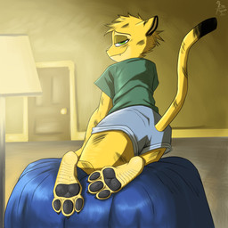 anthro bean_bag black_pawpads blue_bottomwear blue_clothing blue_shorts bottomwear clothing countershading detailed_background dipstick_tail door feet female foot_fetish foot_focus fur green_clothing green_eyes green_shirt green_topwear lamp light looking_at_viewer markings pawpads pose shirt shorts smile smiling_at_viewer soles solo tail tail_markings toes topwear wrinkled_feet wrinkles yellow_body yellow_fur a9ymus kiki_(a9ymus) cheetah felid feline mammal 1:1 2025 absurd_res digital_media_(artwork) hi_res lighting pinup shaded