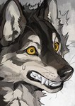 ambiguous_gender anthro bared_teeth biped black_eyes bodily_fluids fur grey_body grey_fur potrait scared_face shocked solo sweat sweatdrop white_body white_fur yellow_sclera windwttom canid canine canis mammal wolf 2024