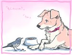 ambiguous_gender bowl brown_body brown_fur collar collar_only container crossed_legs duo feral fur nude pet_food standing text white_body white_fur soukosouji avian bird canid canine canis domestic_dog mammal 2011 japanese_text translated