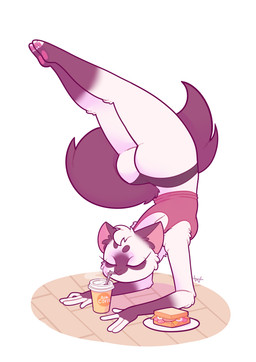 4_fingers anthro bottomwear butt clothed clothing drinking drinking_straw eyes_closed female fingers food fur on_ground pawpads plate sandwich_(food) simple_background solo tail topwear upside_down white_background white_body white_fur marshmallowfury elodie domestic_cat felid feline felis mammal siamese_cat hi_res signature