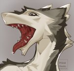 anthro blue_eyes bodily_fluids fur grey_body grey_fur male mouth_shot open_mouth piercing saliva solo teeth tongue tongue_piercing white_body white_fur priest15125 sergal absurd_res hi_res portrait