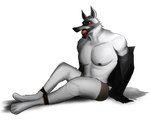 ankles_tied anthro ball_gag bdsm bodily_fluids bondage bottomwear bound cheek_tuft clothed clothing drooling facial_markings facial_tuft fluffy fluffy_tail fur fuzzy gag gagged grey_body grey_fur hands_behind_back head_markings head_tuft legs_tied male markings mask_(marking) muscular muscular_anthro muscular_male neck_tuft nipples on_ground partially_clothed pecs pointy_ears prick_ears red_eyes restrained restrained_legs restraints rope rope_bondage saliva shorts simple_background sitting solo tail teeth topless tuft undressing white_background scootscahoots dreamworks puss_in_boots_(franchise) death_(puss_in_boots) canid canine canis mammal wolf hi_res