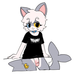 anthro band_shirt blush bottomless bottomless_anthro bottomless_male clothed clothing countershading erection eyelashes femboy genitals heterochromia humanoid_genitalia humanoid_penis leaning_against_wall looking_at_viewer male male_anthro penis shark_tail shirt smile sticker_on_leg topwear popstick trauma_ray pop_(popstick) aquatic domestic_cat felid feline felis fish hybrid mammal shark 2025 hi_res