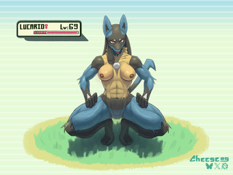 anthro black_body black_fur black_hair blue_body blue_fur blue_hair breasts brown_nipples crouching female female_anthro fur genitals grass hair looking_at_viewer medium_breasts muscular muscular_anthro muscular_female nipples nude outside plant pose presenting presenting_breasts red_eyes solo spread_legs spreading tongue tongue_out vulva cheese09 nintendo pokemon canid generation_4_pokemon lucario mammal pokemon_(species) 4:3 hi_res