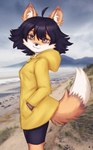 anthro clothing coastline coat female outside raincoat seashore solo topwear elronya astra_maple canid canine fox mammal hi_res